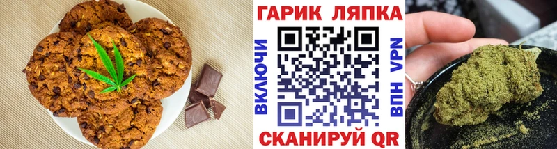 наркота  Георгиевск  маркетплейс наркотические препараты  Печенье с ТГК конопля 