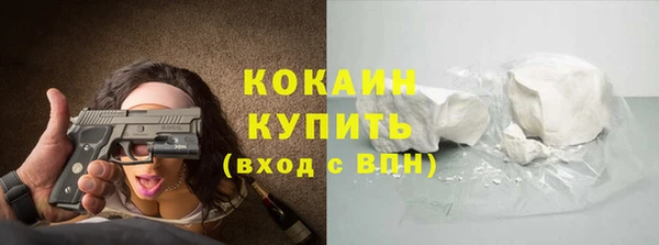 гидра Аркадак