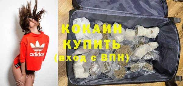 гидра Аркадак