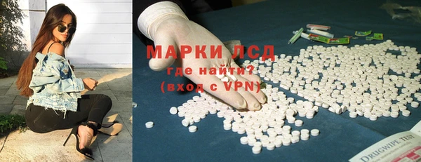 гидра Аркадак