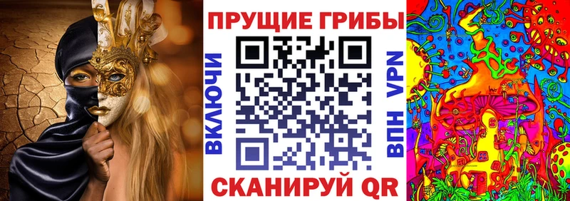 Псилоцибиновые грибы мухоморы  даркнет сайт  Георгиевск 