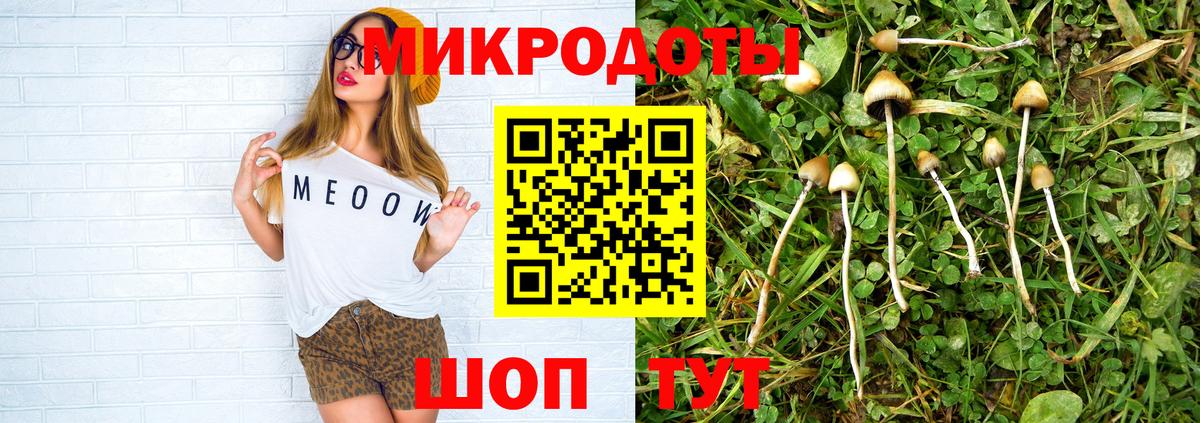 Георгиевск  Псилоцибиновые грибы мицелий  купить закладку  Вход с VPN 