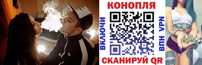 Каннабис OG Kush  Георгиевск 